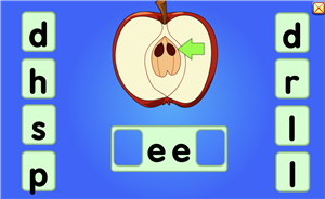 seed